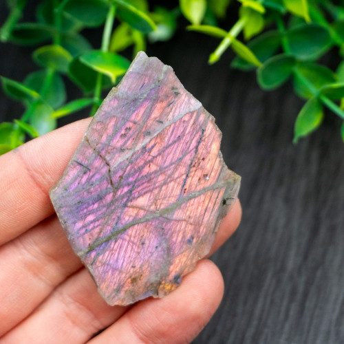 Purple Labradorite Half Polished #1