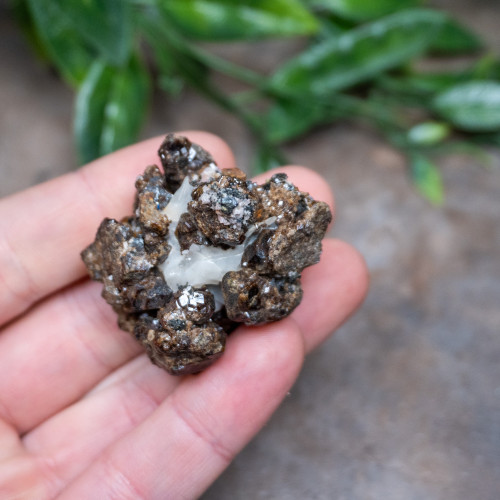 Raw Garnet On Calcite #1