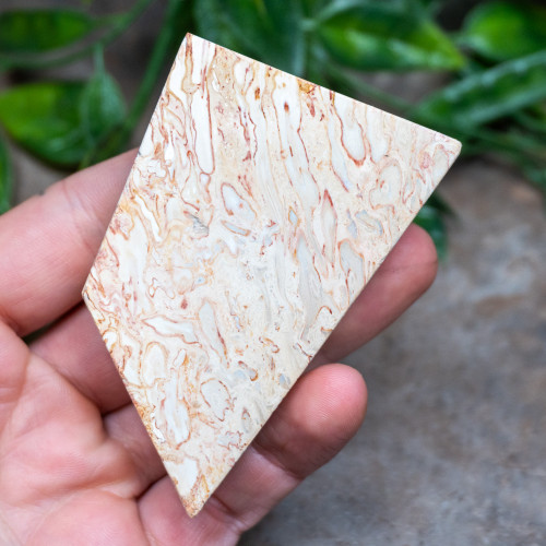 Indonesian Palm Wood #2