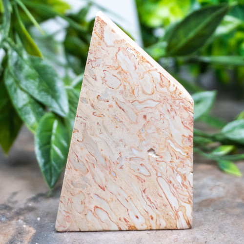 Indonesian Palm Wood #2