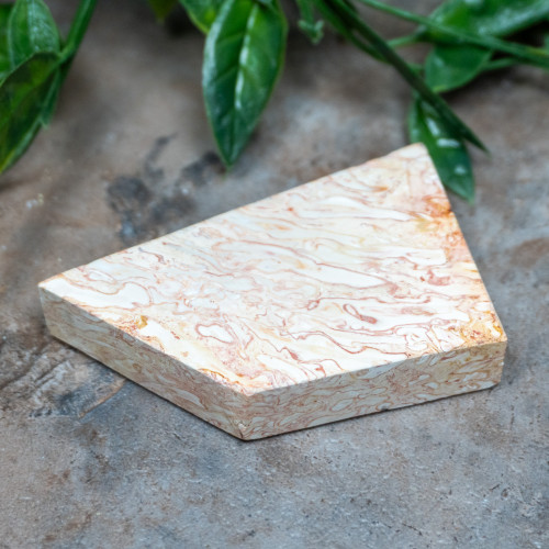 Indonesian Palm Wood #2