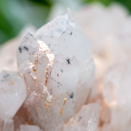 Hollandite in Quartz #5