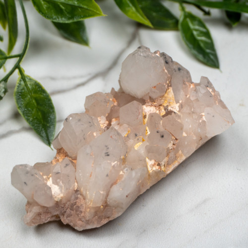 Hollandite in Quartz #5