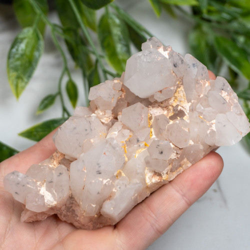 Hollandite in Quartz #5