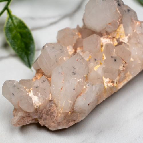 Hollandite in Quartz #5