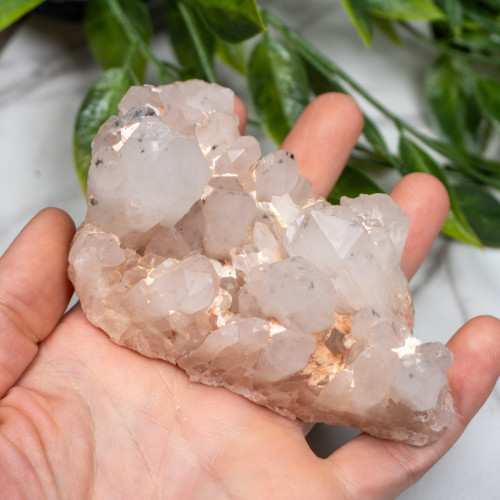 Hollandite in Quartz #5