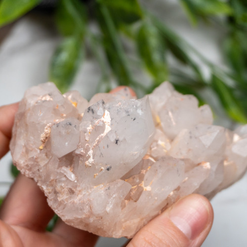 Hollandite in Quartz #5