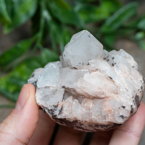Hollandite in Quartz #4