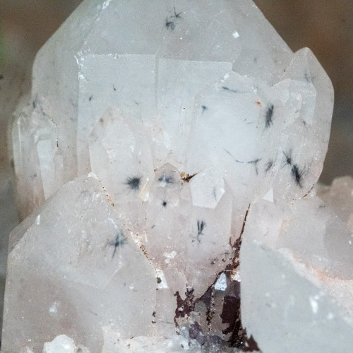 Hollandite in Quartz #4
