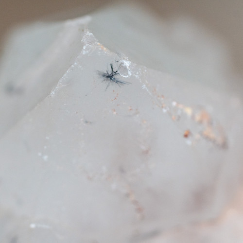 Hollandite in Quartz #4