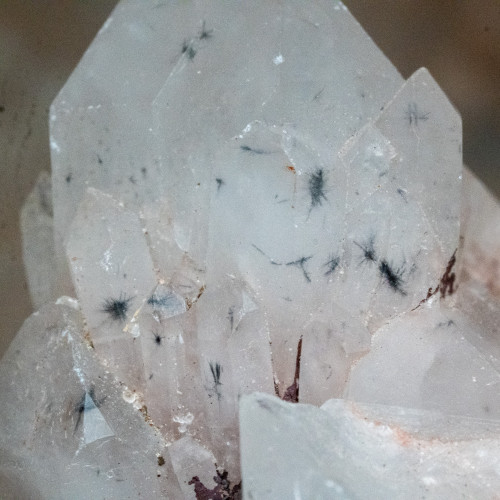Hollandite in Quartz #4