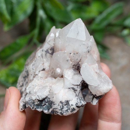 Hollandite in Quartz #4