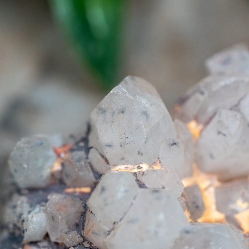 Hollandite in Quartz #3
