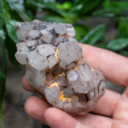 Hollandite in Quartz #3