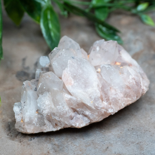 Hollandite in Quartz #3