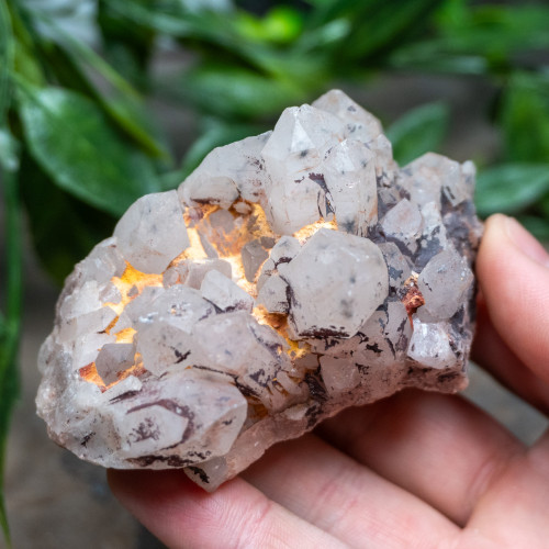 Hollandite in Quartz #3