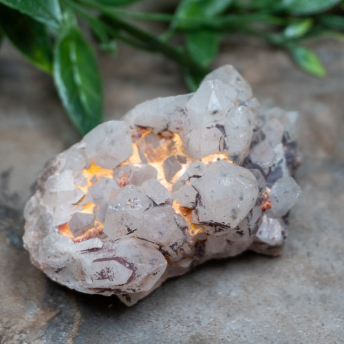 Hollandite in Quartz #3