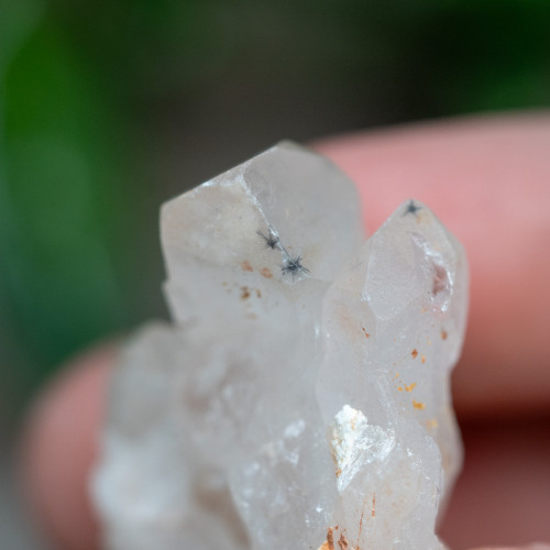 Hollandite in Quartz #1