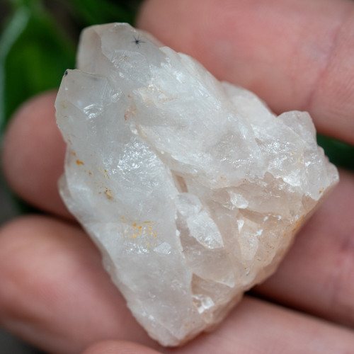 Hollandite in Quartz #1