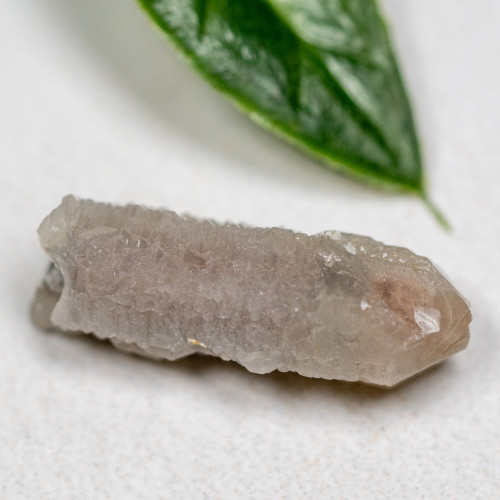 Hedenbergite Quartz #3