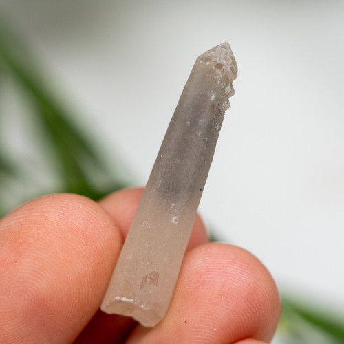 Hedenbergite Quartz #2
