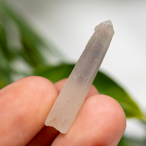 Hedenbergite Quartz #2