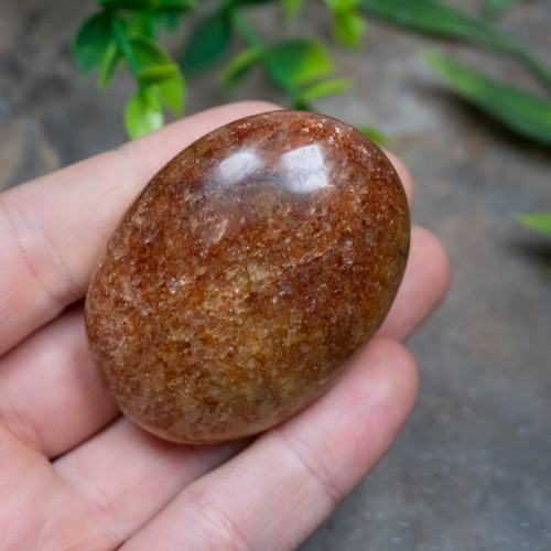 Lion's Gate Quartz Palmstone #3