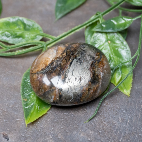 Lion's Gate Quartz Palmstone #2