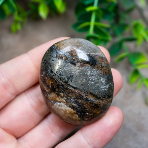 Lion's Gate Quartz Palmstone #2