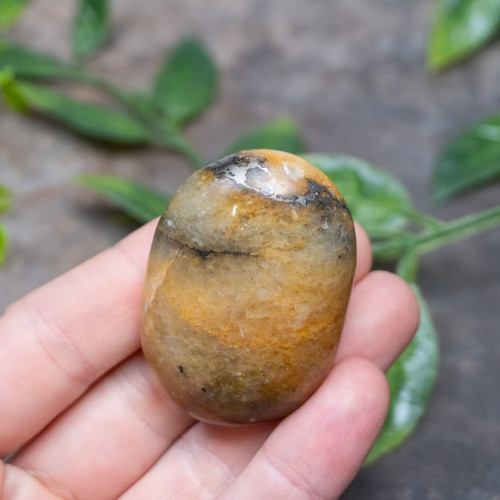 Lion's Gate Quartz Palmstone #1