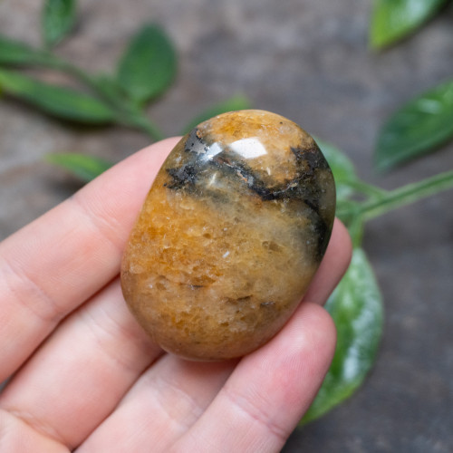 Lion's Gate Quartz Palmstone #1