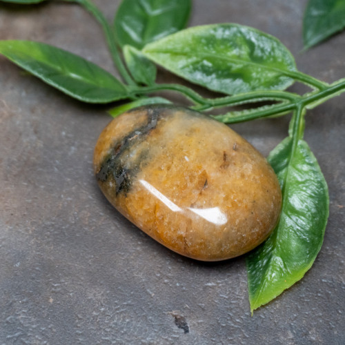 Lion's Gate Quartz Palmstone #1