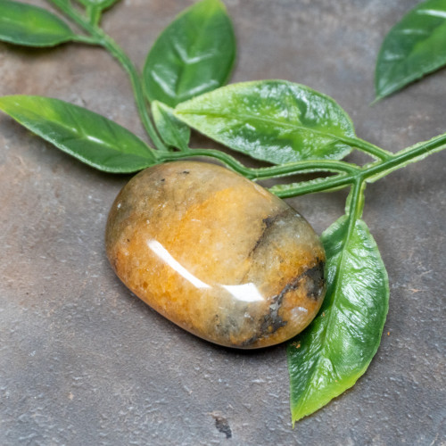 Lion's Gate Quartz Palmstone #1