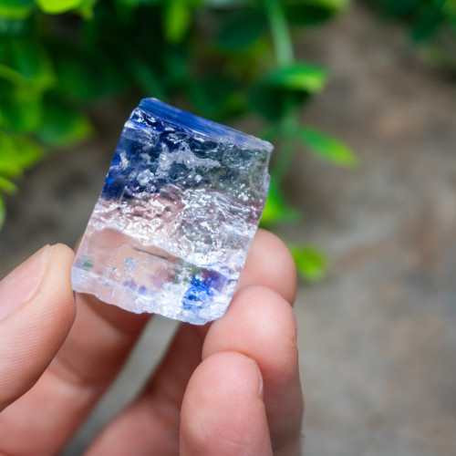 Blue Halite #4