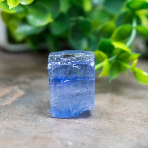 Blue Halite #3