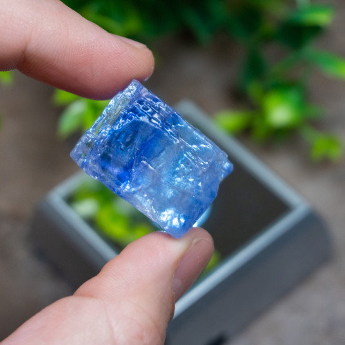 Blue Halite #3