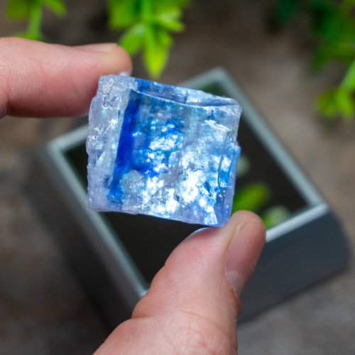 Blue Halite #1