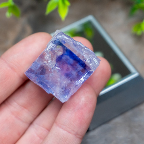 Blue Halite #1