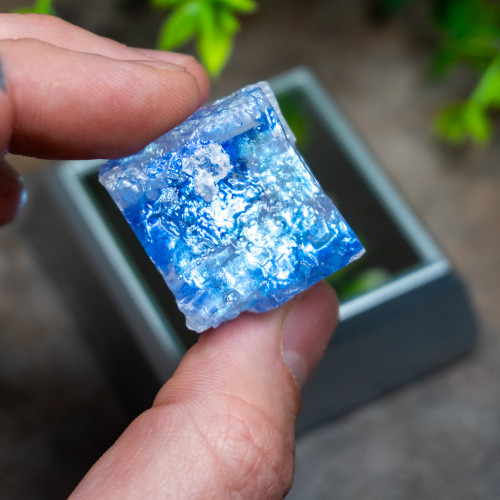 Blue Halite #1