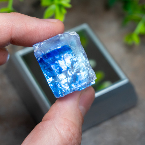 Blue Halite #1