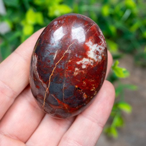 Jaspillite Palmstone #3