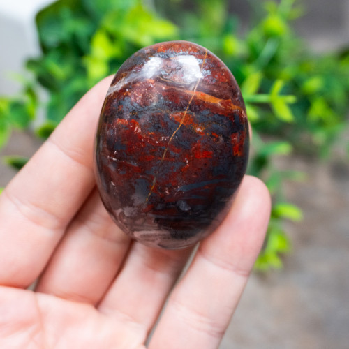 Jaspillite Palmstone #2