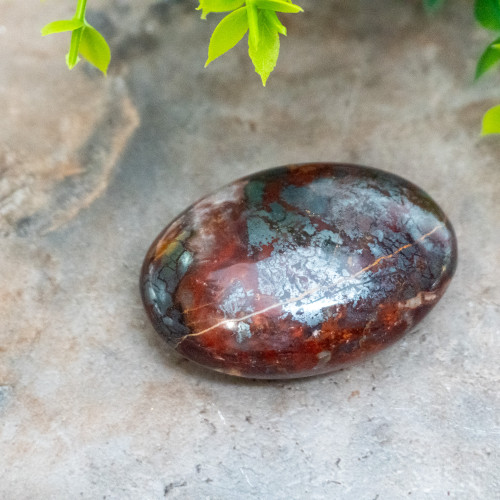 Jaspillite Palmstone #3