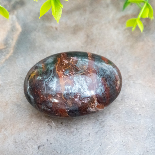 Jaspillite Palmstone #2