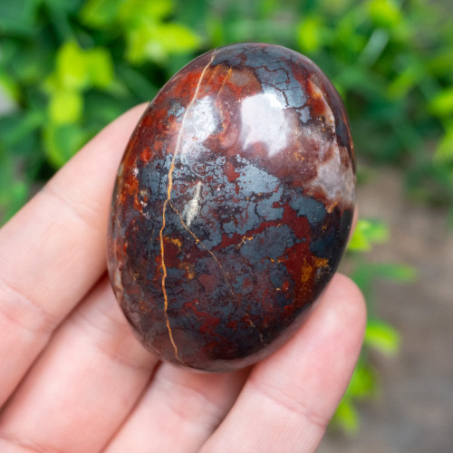 Jaspillite Palmstone #3