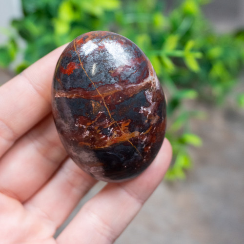 Jaspillite Palmstone #2