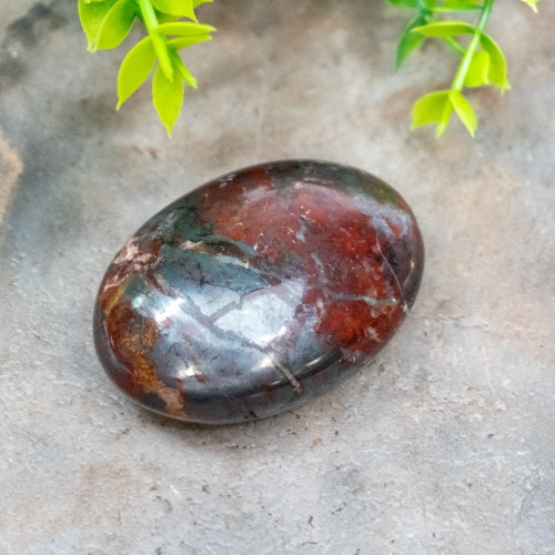 Jaspillite Palmstone #1