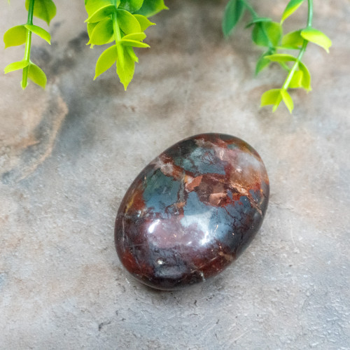 Jaspillite Palmstone #1