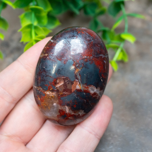 Jaspillite Palmstone #1