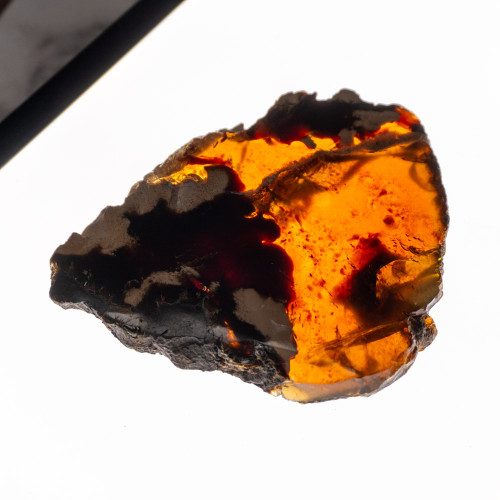 Indonesian Blue Amber Slice #10